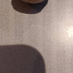 Peluche, ha sido reportado por De Efteling con iLost