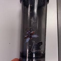 Bottiglia Grijs, come riportato da Vrije Universiteit Amsterdam utilizzando iLost