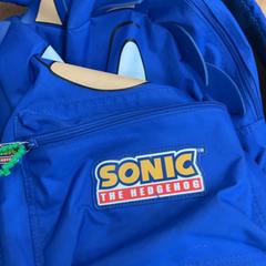 Bag, as reported by GVB using iLost