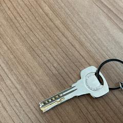 Key, as reported by Breng Arnhem using iLost