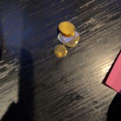 Øredobber House kleur, som rapportert av Van der Valk Hotel Utrecht ved bruk av iLost