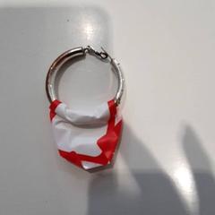 Earring, as reported by Zwarte Cross (Gemeentehuis) using iLost
