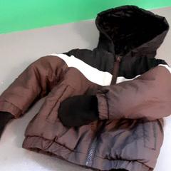 Jas kind, come riportato da Diergaarde Blijdorp utilizzando iLost