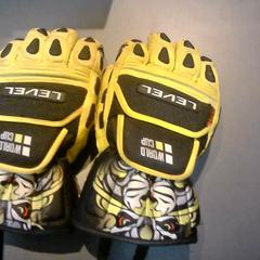 Handskar, rapporterat av SnowWorld Landgraaf med iLost