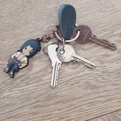 Sleutelbos, come riportato a iLost