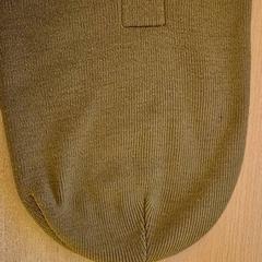 Beanie Bruin, som rapportert av Mauritshuis Den Haag ved bruk av iLost