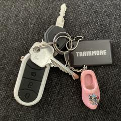 Sleutelbos, iLost에 보고됨