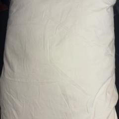 Kissen, gemeldet von ibis Styles Rotterdam Ahoy über iLost