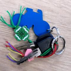 Keys, as reported by LUMC using iLost