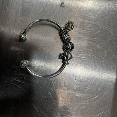 Pandora Armband met bedels, som rapporterats till iLost