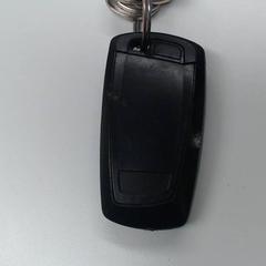 Car key, as reported by Walibi Holland using iLost