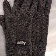 Guanti Grijs, come riportato da Arriva Friesland / Groningen utilizzando iLost