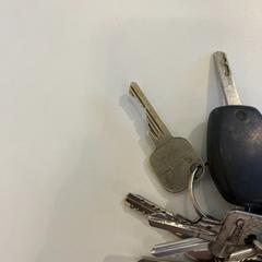 Giltza-giltza, gisa salatu by Gemeente Noordwijk iLost erabiliz