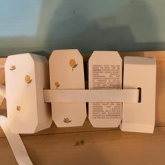 Puddle jumper, segundo informou Familie Resort Molenwaard usando iLost