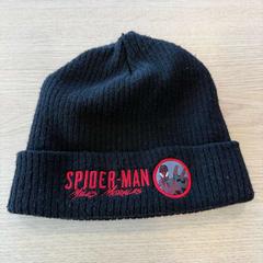 Cap Spiderman, come riportato da Van Heugten Tours utilizzando iLost