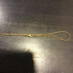 Collaret, segons ha informat U-OV Utrecht mitjançant iLost