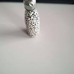 Gourde, come riportato da Twisto utilizzando iLost