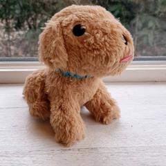 İLost kullanarak DierenPark Amersfoort tarafından bildirildiği gibi Sevimli oyuncak Hond