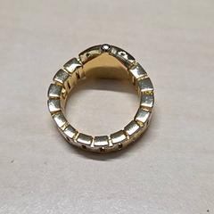 Ring, as reported by Arriva Oost-Brabant using iLost