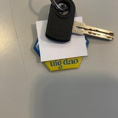 المفاتيح (متنوعة) slejtel، كما تم الإبلاغ عنه بواسطة Arriva Limburg Noord عبر iLost