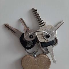 Nøkkelring, som rapportert av Wilmering Brinkum ved bruk av iLost