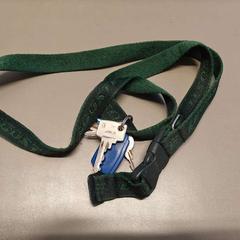 Chaveiro Sleutelbundel met groen Lacoste riempje, como reportado por Vrije Universiteit Brussel (VUB) utilizando o iLost