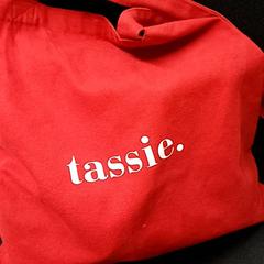 Tasje Rodestof, as reported by Qbuzz GD Groningen Peizerweg using iLost