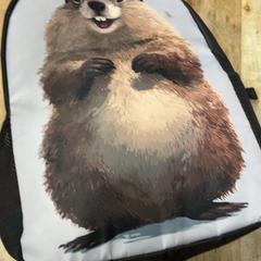 Motxilla, segons ha informat IKEA Delft mitjançant iLost