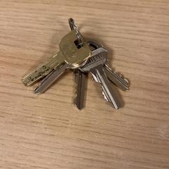 المفاتيح، كما تم الإبلاغ عنه بواسطة Pathé Tuschinski عبر iLost