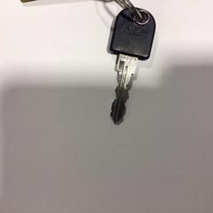 Kerékpár kulcs, amint azt Gemeente Veenendaal az iLost segítségével jelentette.