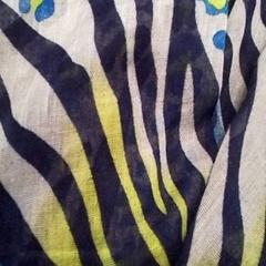 Kendő, amint azt Qbuzz Fryslân az iLost segítségével jelentette.