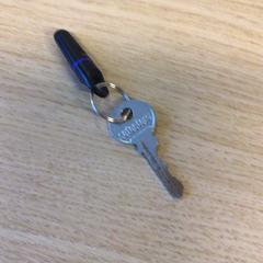 Chiave, come riportato da Canisius-Wilhelmina Ziekenhuis utilizzando iLost