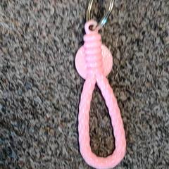 Sleutelhanger roze lusje plastic, som rapportert av Burgers' Zoo ved bruk av iLost