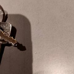 Sleutelbos, zoals gemeld door De Efteling met iLost