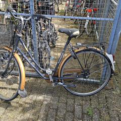 Fiets, as reported to iLost