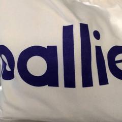 İLost kullanarak Arriva Friesland / Groningen tarafından bildirildiği gibi Çanta Wit