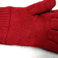 Handskar Rood, rapporterat av Arriva Friesland / Groningen med iLost