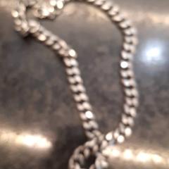 Halsband, rapporterat av Rotterdam The Hague Airport med iLost