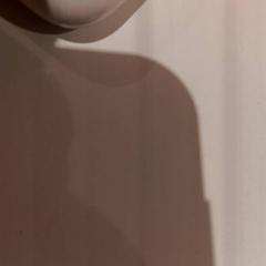 Earpods, som rapportert av De Efteling ved bruk av iLost