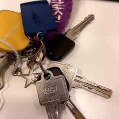 Kulcstartó Vele speciale hangertjes, amint azt Arriva Limburg Noord az iLost segítségével jelentette.