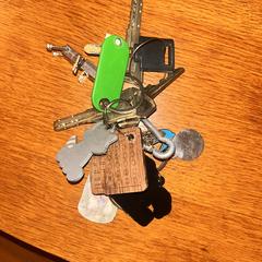 Sleutelbos, jak bylo nahlášeno na iLost