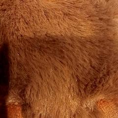 ぬいぐるみ がiLostで De Efteling によって報告されました