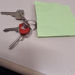 Nyckelring, rapporterat av Gemeente Meierijstad med iLost