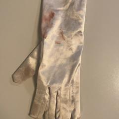 Guantes, ha sido reportado por Pathé Schiedam con iLost