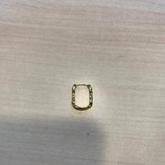 Oorbel, som rapporterats till iLost