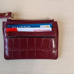 Držiteľ karty - Coppejans, ako bolo nahlásené Regio Oost-Vlaanderen pomocou iLost