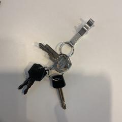 Chiavi, come riportato da Gemeente Amsterdam - Bureau Gevonden Voorwerpen utilizzando iLost