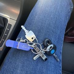 Sleutelbos، كما تم الإبلاغ عنه عبر iLost