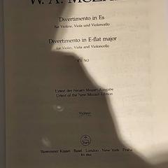 Kniha, ako bolo nahlásené Bibliotheek Neude (Utrecht) pomocou iLost