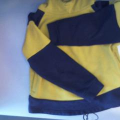 Trui, as reported by Walibi Holland using iLost